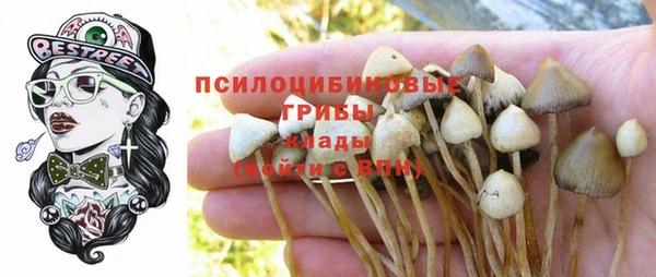 хмурый Наволоки